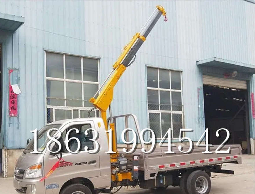 玉屏侗族自治县车载吊机220v移动吊机车载吊机移动起重机小吊机220V小吊机220V玉屏侗族自治县附近小型
